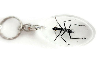 Real ant keychain, resin keyring, formicinae ssp