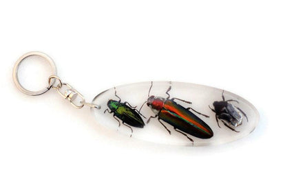 Jewel beetles keyring, bugs in resin keychain