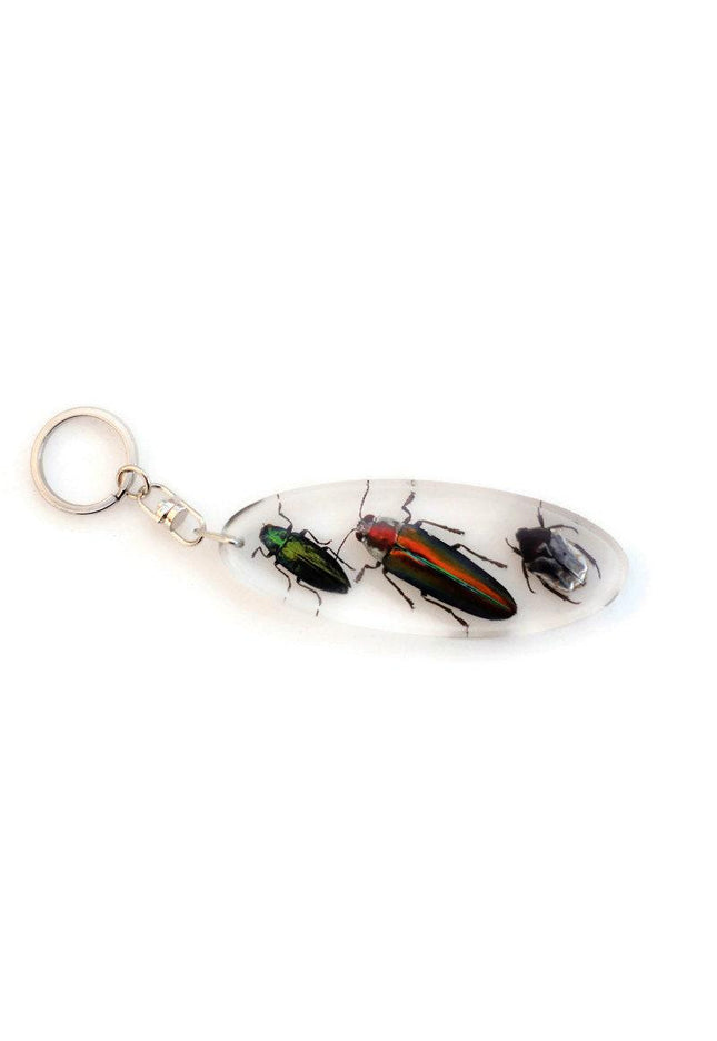 Jewel beetles keyring, bugs in resin keychain