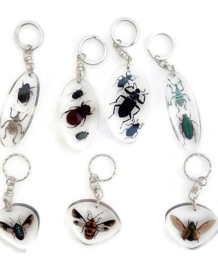 Jewel beetles keyring, bugs in resin keychain
