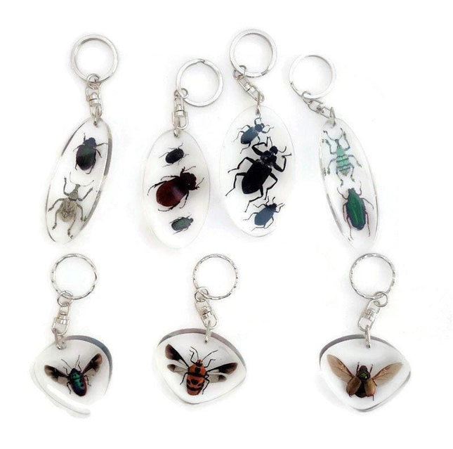 Jewel beetles keyring, bugs in resin keychain