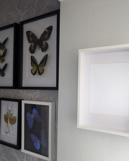 White a4 3d box photo frame: shadow picture frame with mount