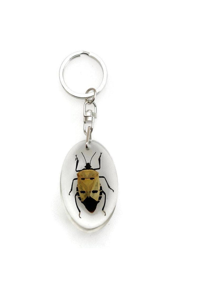 Man-Faced Stink Bug Resin Keychain, Taxidermy Keyring