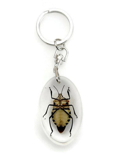 Man-Faced Stink Bug Resin Keychain, Taxidermy Keyring