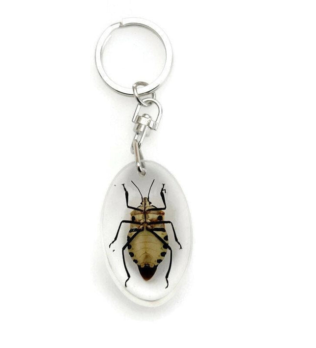 Man-Faced Stink Bug Resin Keychain, Taxidermy Keyring