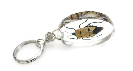 Man-Faced Stink Bug Resin Keychain, Taxidermy Keyring