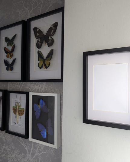 A4 black 3d box photo frame: shadow picture frame with mount