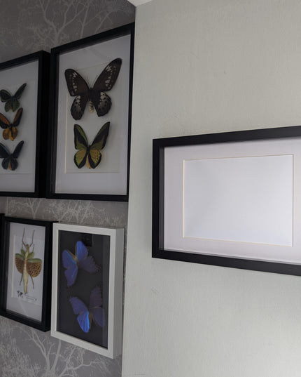 A4 black 3d box photo frame: shadow picture frame with mount