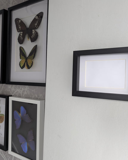 5x7 black 3d box photo frame: shadow display, standing or hanging