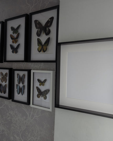 16x16 black 3d deep box shadow frame with mount