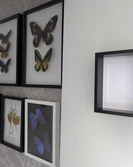 5x7 black 3d box photo frame: shadow display, standing or hanging