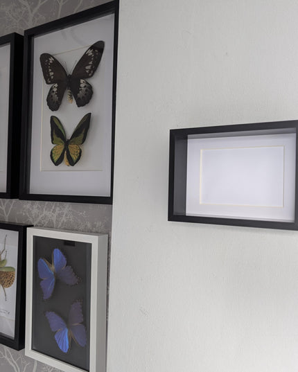 5x7 black 3d box photo frame: shadow display, standing or hanging