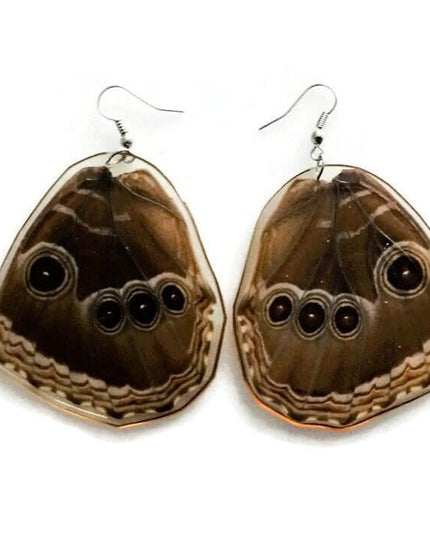 Real caligo butterfly wing earrings: boho nature jewelry