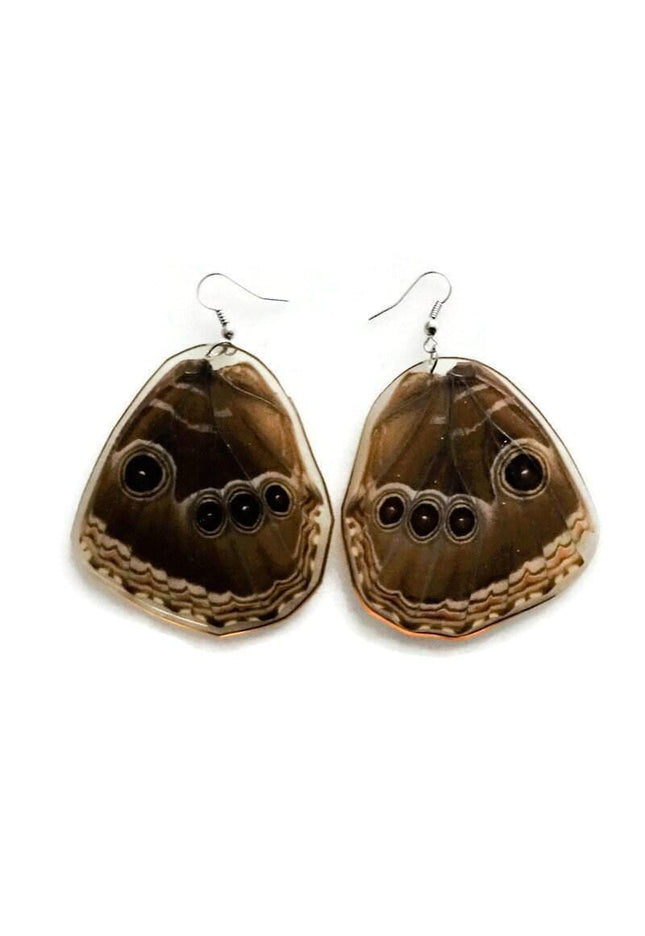 Real caligo butterfly wing earrings: boho nature jewelry