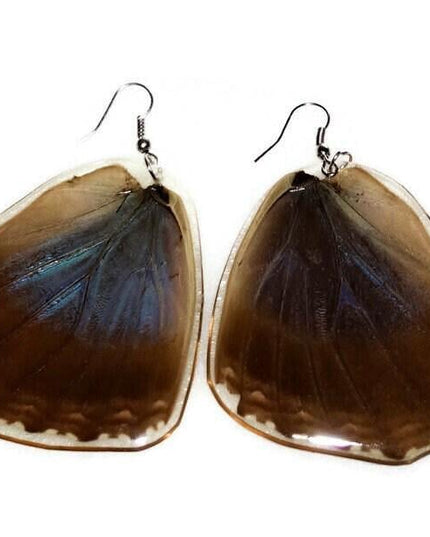 Real caligo butterfly wing earrings: boho nature jewelry