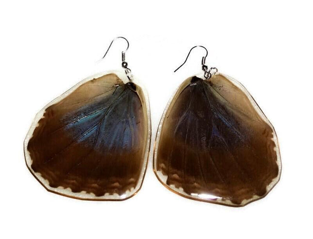 Real caligo butterfly wing earrings: boho nature jewelry