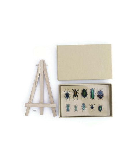 Mixed beetle collection in clear resin block: entomology gift