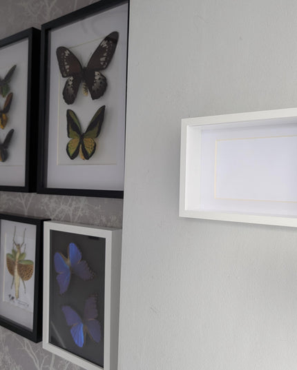 5x7 white deep box photo frame: standing & hanging shadow box display