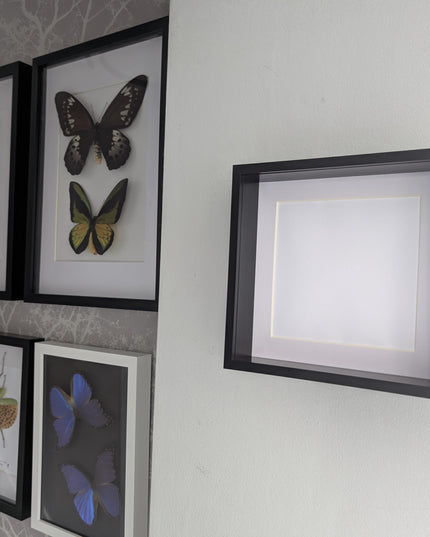 8x8 black 3d box photo frame: shadow display, standing or hanging