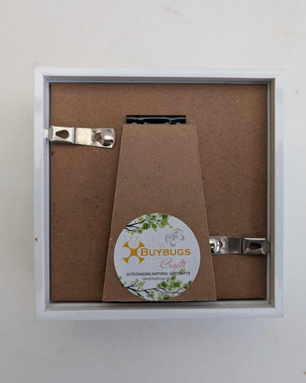 White 4x4 deep box photo frame: standing & hanging shadow box