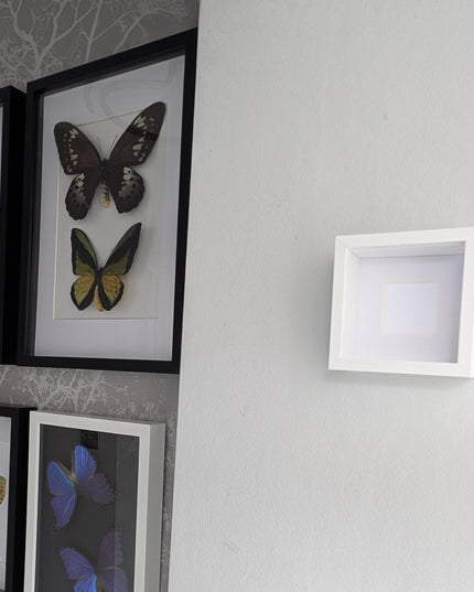 White 4x4 deep box photo frame: standing & hanging shadow box