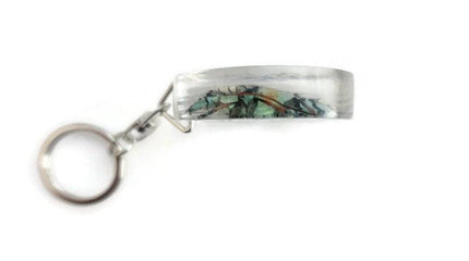 Real longhorn beetle keyring: tmesisternus rafaelae, crystal clear resin