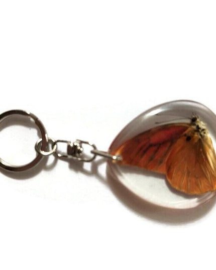 Real butterfly  appia nero, keyring, nature art, insect resin, ethical taxidermy, keychain, butterfly present
