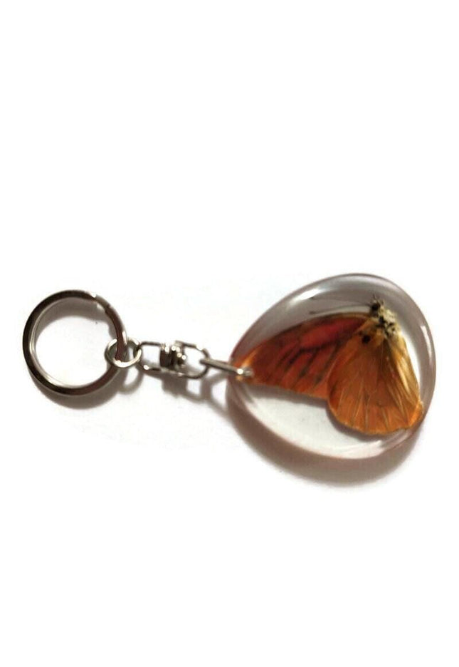 Real butterfly  appia nero, keyring, nature art, insect resin, ethical taxidermy, keychain, butterfly present