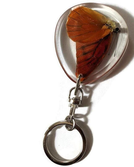 Real butterfly  appia nero, keyring, nature art, insect resin, ethical taxidermy, keychain, butterfly present