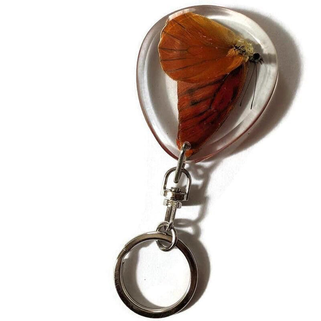 Real butterfly  appia nero, keyring, nature art, insect resin, ethical taxidermy, keychain, butterfly present