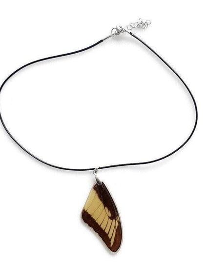 Real butterfly wing pendant necklace: resin coated, black cord