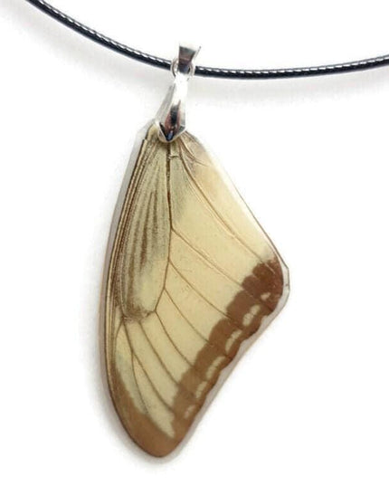 Real butterfly wing pendant necklace: resin coated, black cord