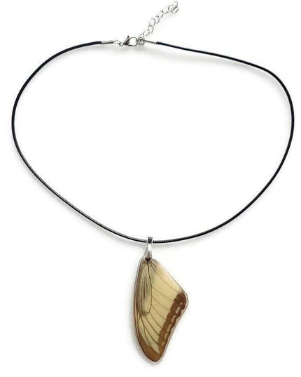 Real butterfly wing pendant necklace: resin coated, black cord