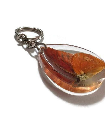 Real butterfly  appia nero, keyring, nature art, insect resin, ethical taxidermy, keychain, butterfly present