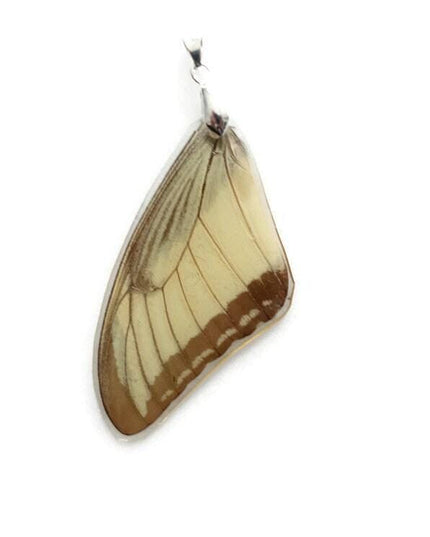 Real butterfly wing pendant necklace: resin coated, black cord