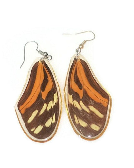 Real butterfly wing earrings: eueides isabella resin jewelry
