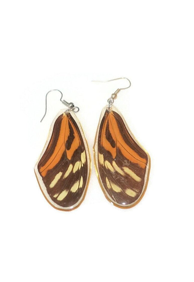Real butterfly wing earrings: eueides isabella resin jewelry