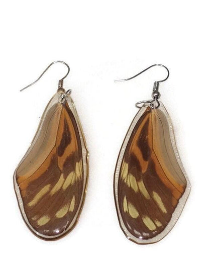 Real butterfly wing earrings: eueides isabella resin jewelry