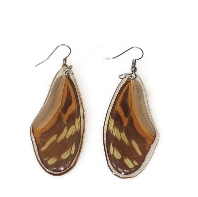 Real butterfly wing earrings: eueides isabella resin jewelry