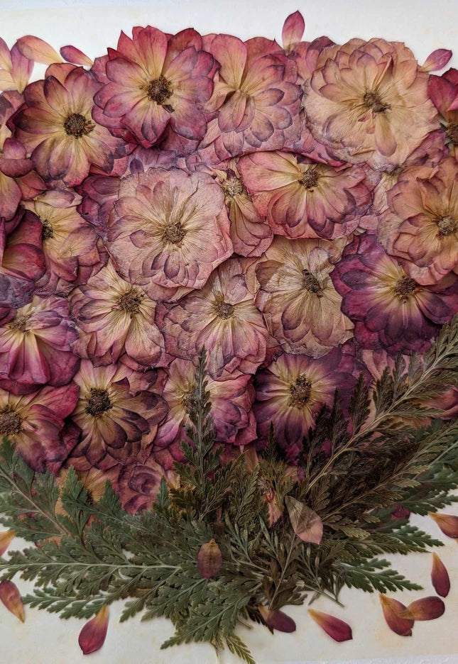 Pressed flower artwork: botanical watercolor painting, floral wall decor