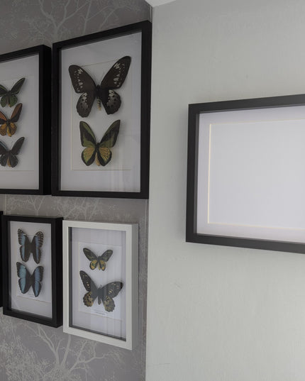 Black 3d box photo frame: 10x10 shadow picture frame with mount
