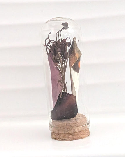Butterfly wing glass dome: pressed flower nature keepsake