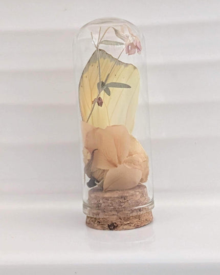 Butterfly wing glass dome: botanical terrarium decor with dry rose