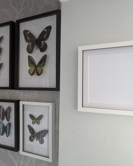 10x10 white 3d box photo frame: shadow picture display