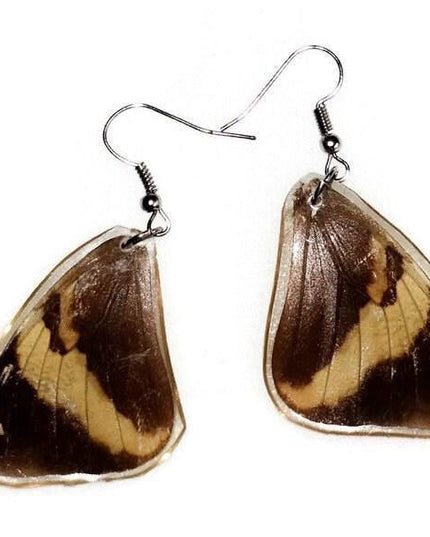 Real butterfly wing earrings: brown beige resin dangle, nature jewelry