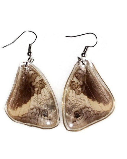Real butterfly wing earrings: brown beige resin dangle, nature jewelry