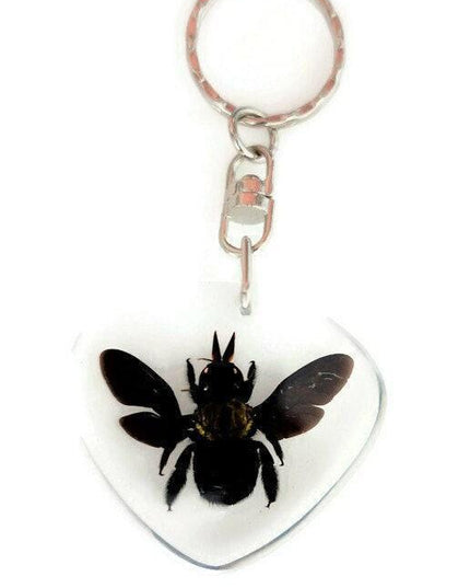Real bee  keychain, resin keyring #2, xilocopa caerulea