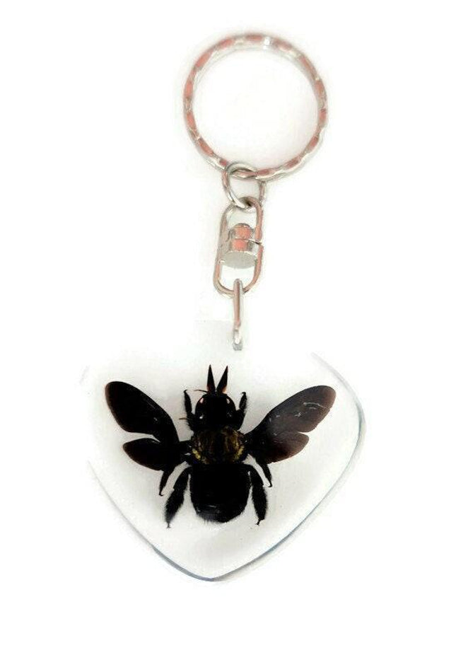Real bee  keychain, resin keyring #2, xilocopa caerulea