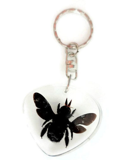 Real bee  keychain, resin keyring #2, xilocopa caerulea