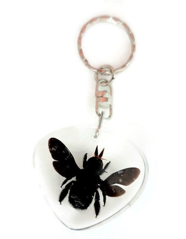 Real bee  keychain, resin keyring #2, xilocopa caerulea